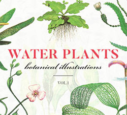 38张高清透明的北欧风水彩植物PNG图片：Water Plants Vol.1